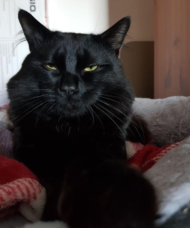 be27ab5728bcbd7ded7f69aedd