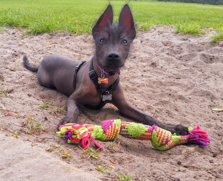 be295d5af2b5af91b267e92118