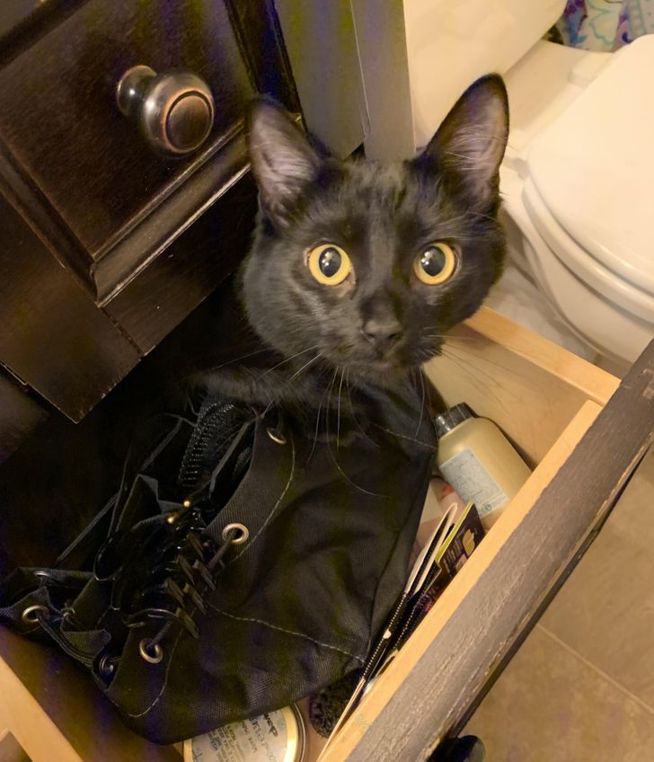 be3041560c98546baac63e2b2d