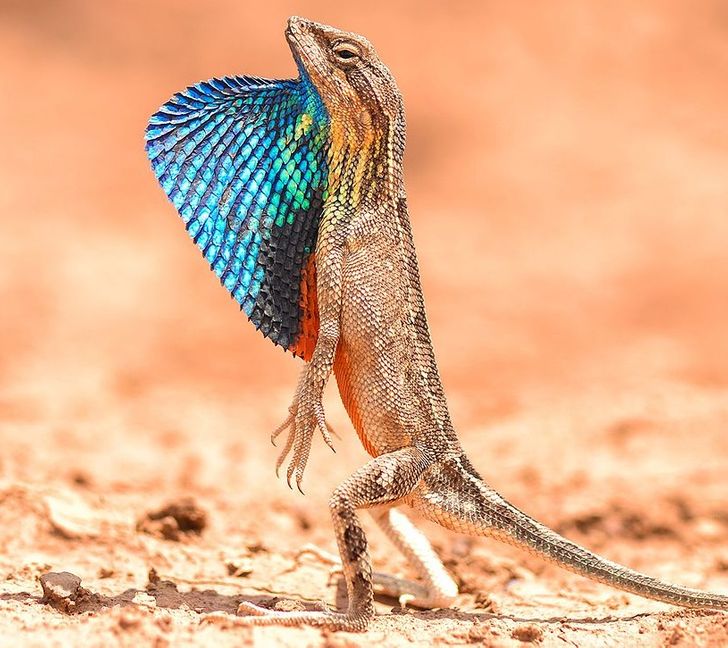 be33fe5bea9dcb62cbb17c117a