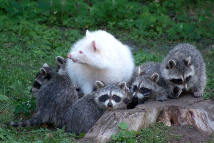 be3f9f54c69a54c9155866ebf6