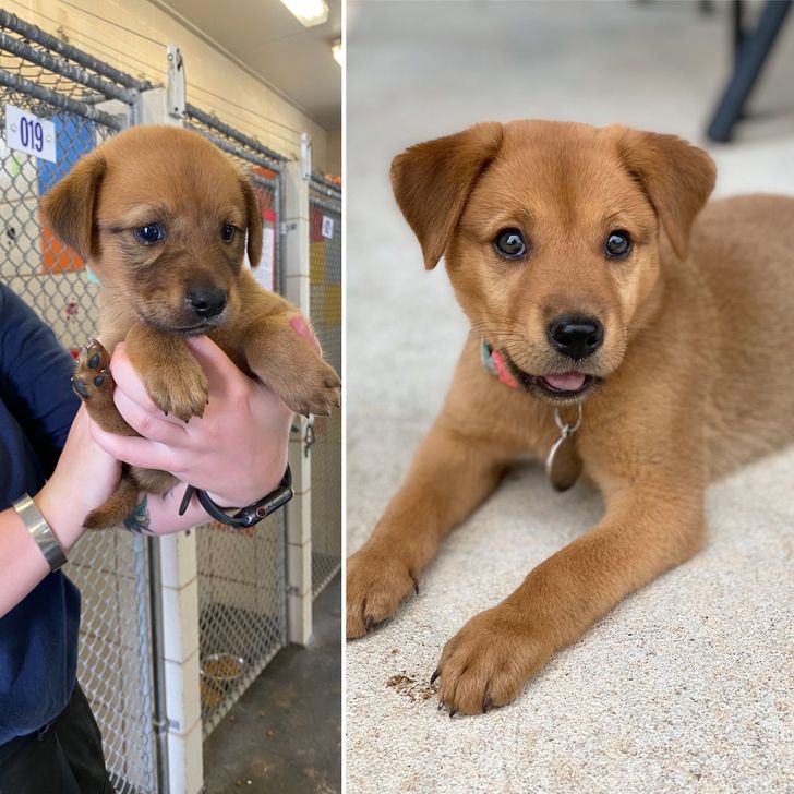 be41e25d678f9997b8eb28ef83