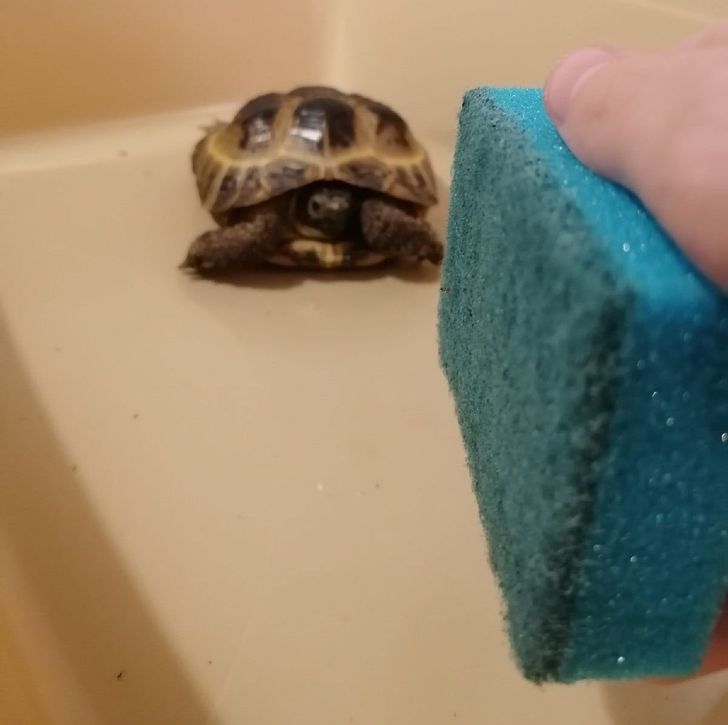 be42485987a84ff109a74bad5e