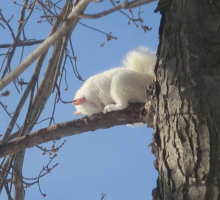 be4e4f5fa6bf923484f0c0a03d