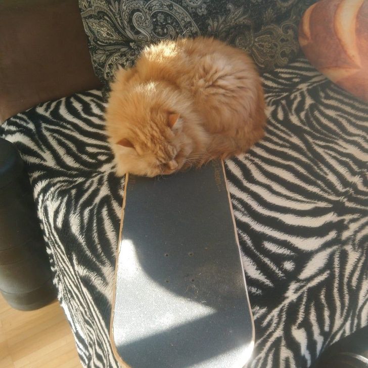 be563d577dbe981241b8d2763b