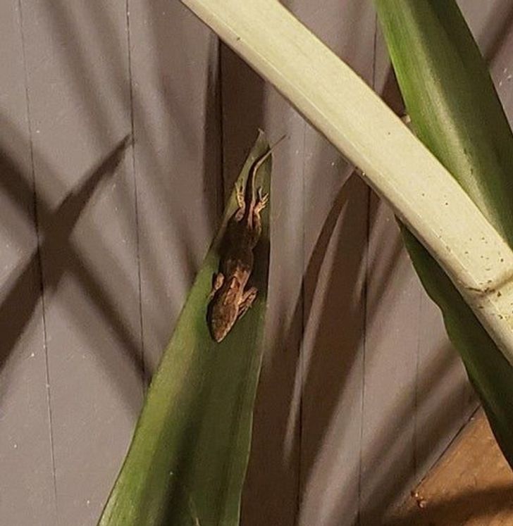 be5c7954dbaffe7ba3f66c49a3