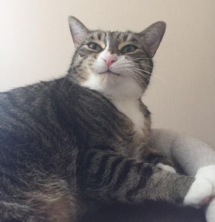 be5fd55774b33421e5d930114e