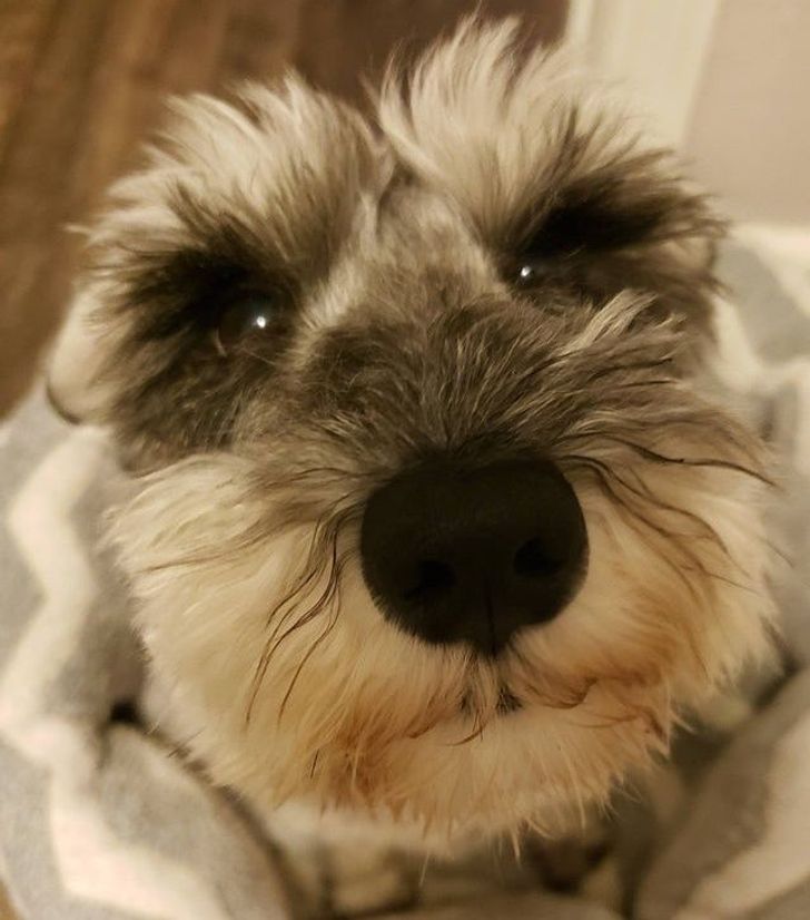 be6a435194a1f65ed3715754cb