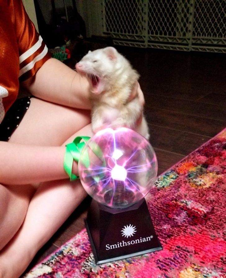 be6b305605a909c422d1d25991