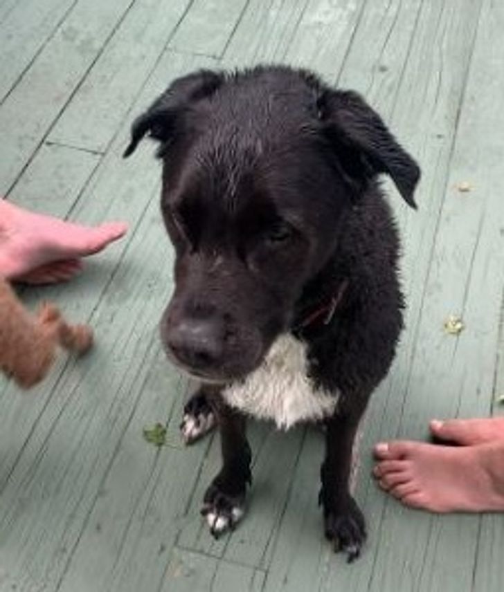 be7040531bb6039b120c971561