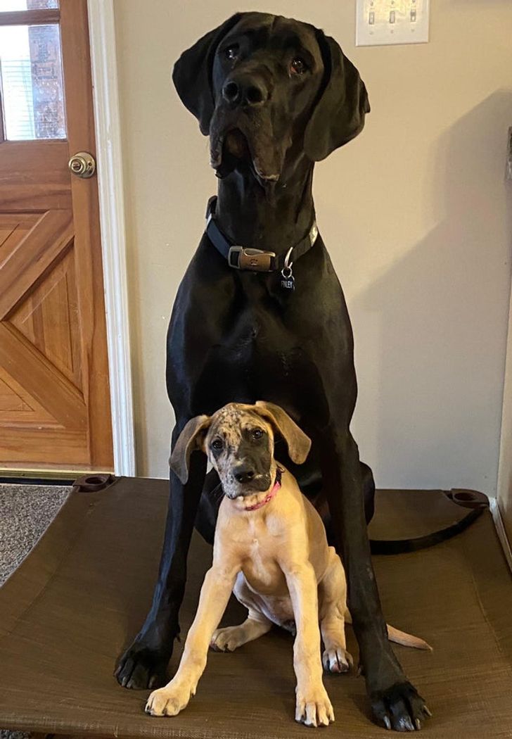 be76fa54b5bab1fa1e9588ab33