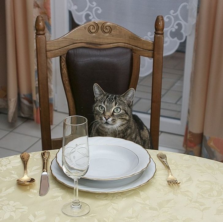 be808b521f90a9464fd27e1c28