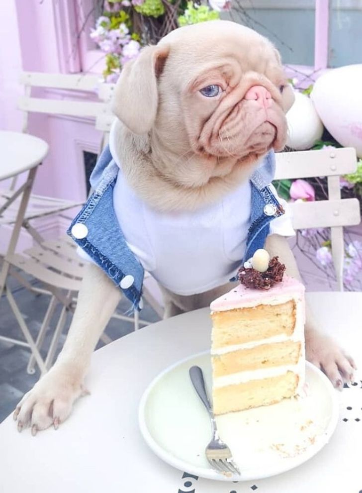 be8387529696d68f579896f9ba