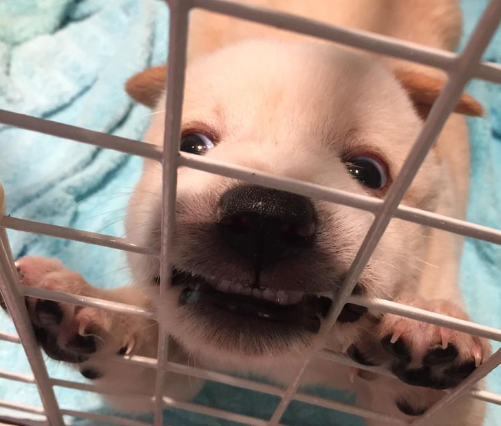 be872c56d09e79940a26be5a38