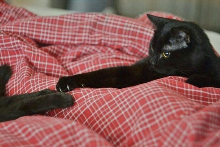 be8e185a95b5b75a5ca857e9cc