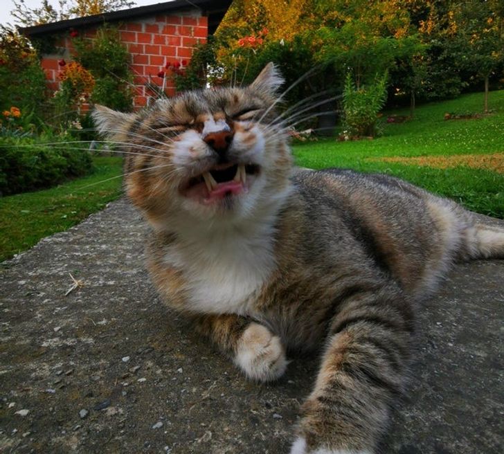 be94aa5dd3800946191507495a