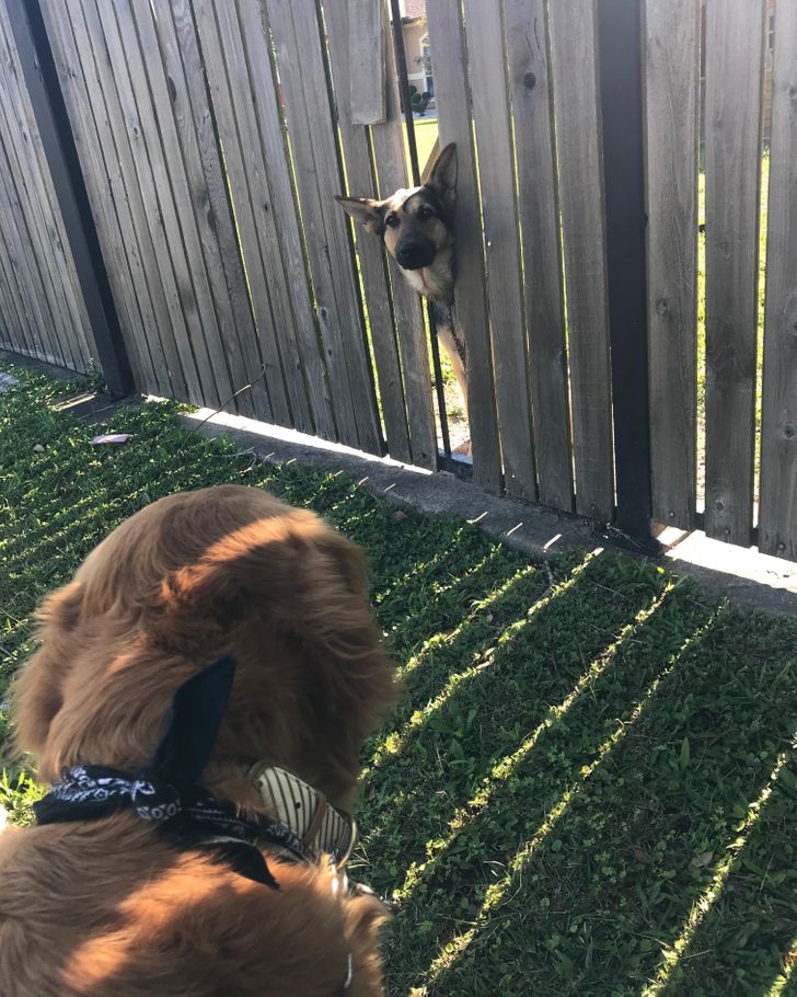 be98f45c87b850272192941ac9