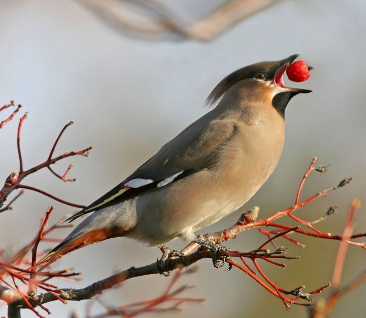 be9a4a59688ac54e12889469e7