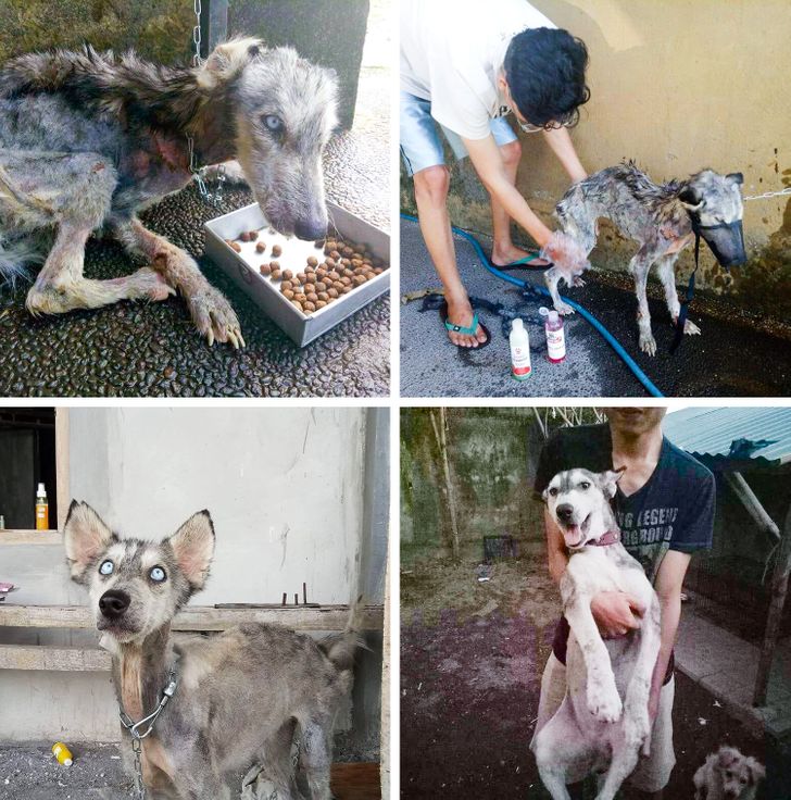 bea038526788ac5949af055b95