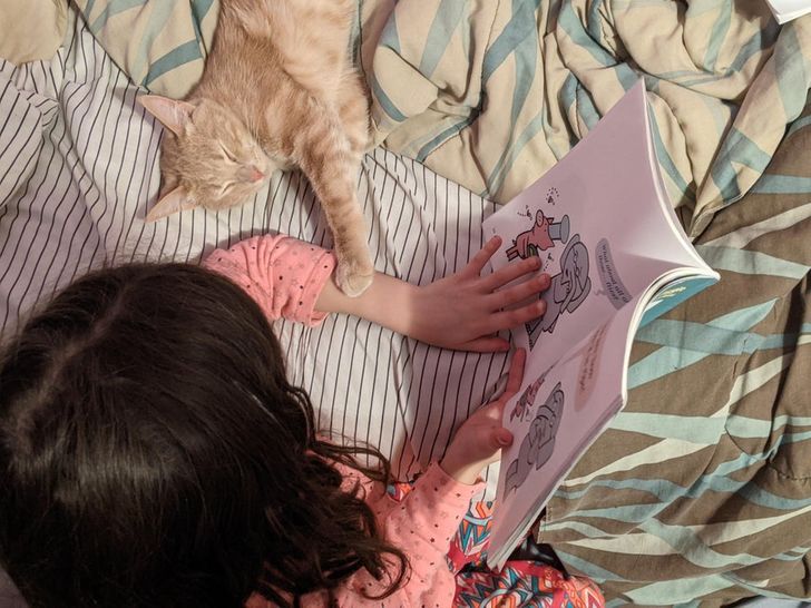 beacb7502385dc063c31ced8d3 beacb7502385dc063c31ced8d3