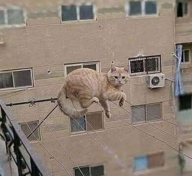 beb1165024a00cd045dd095f66