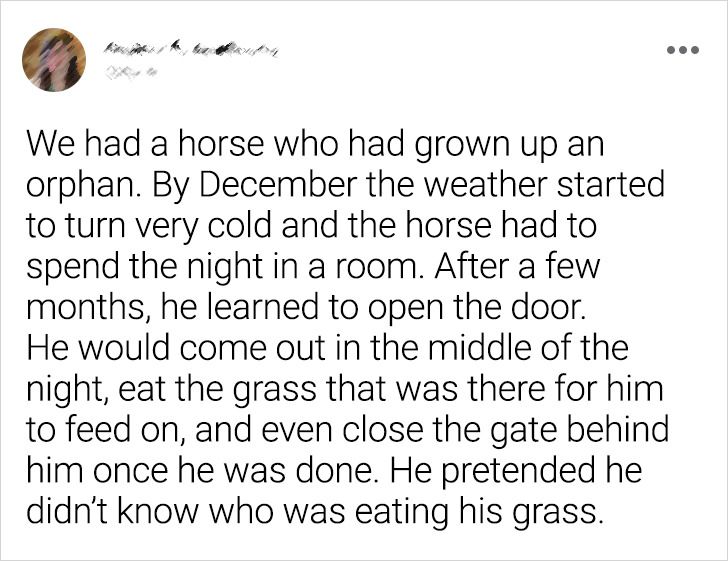 beb2d45ce484fb8d439f14e988