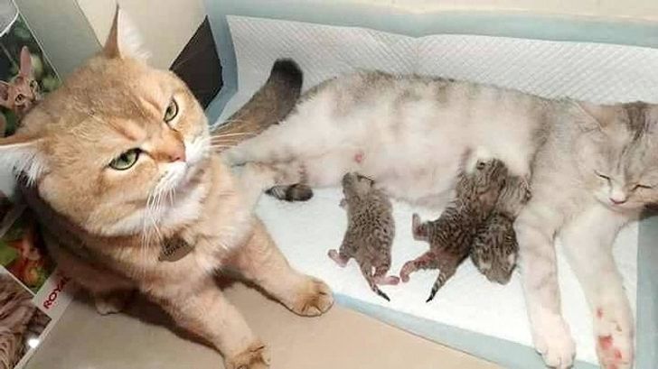 bec21356549a639432fd31125d bec21356549a639432fd31125d