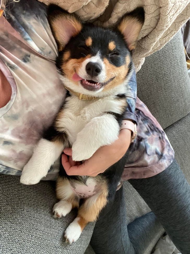 bec58a529a93ff38d1acaa3de6