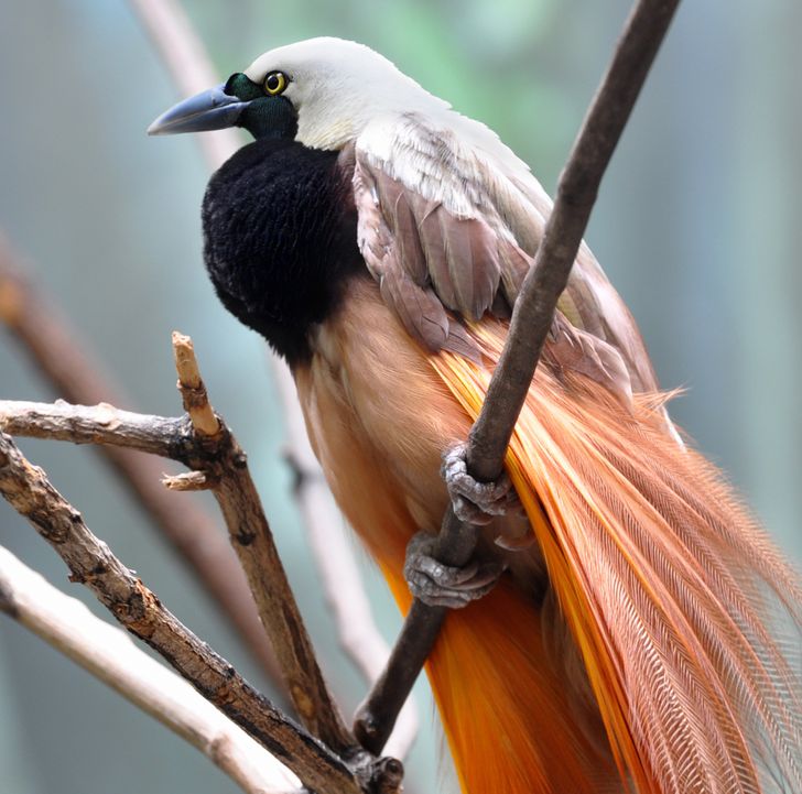 beccb25ef4a13cefc3931bf6e9