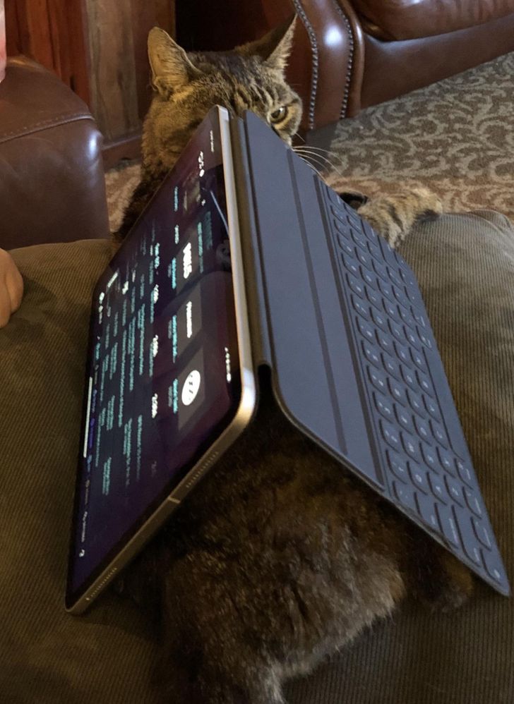 bed5ea5580a99bae9354130833