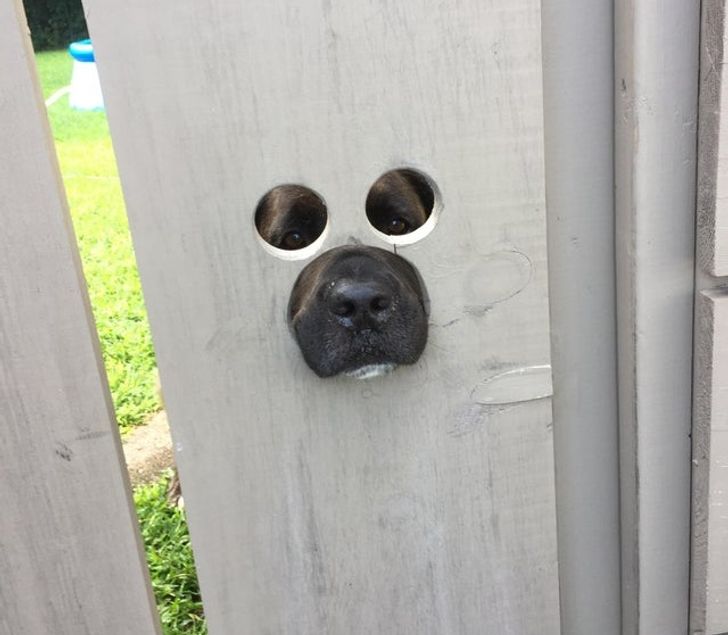 bed72d5119927c78c5ad03f3ab