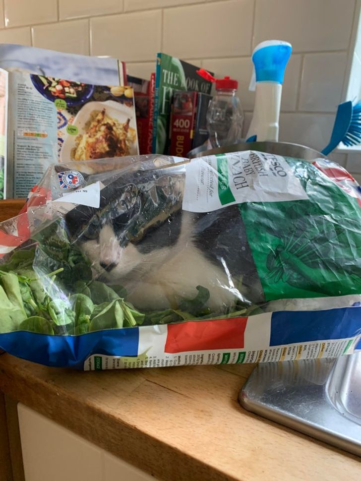 bedbc45980b7f6ac41db8e5bdf