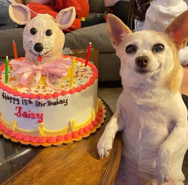 bee2ab574c917d179b7b4c5f44