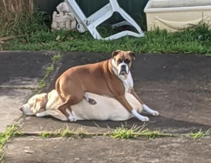 bee65555e4bc6ee8c7eed94a3a