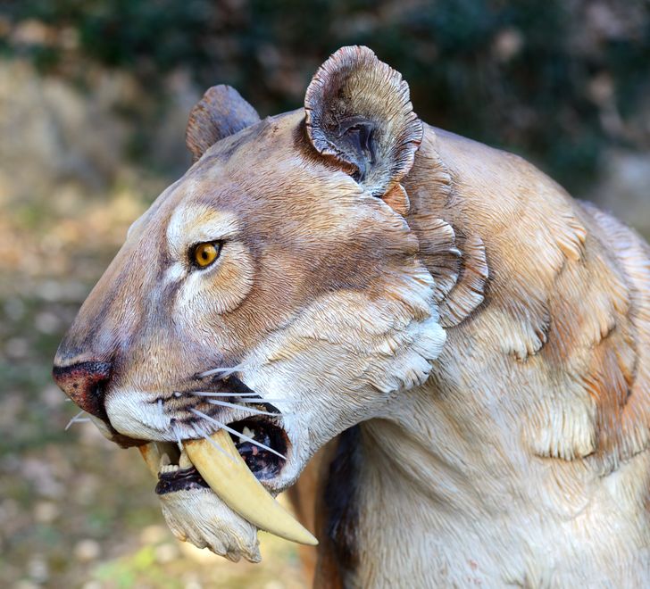 beea655ab0a68f56bb85708186