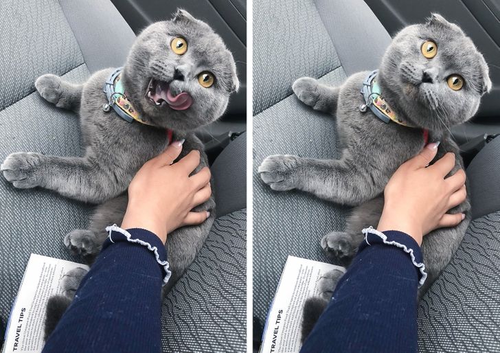 beedb15d64ad11ec7334f4decb