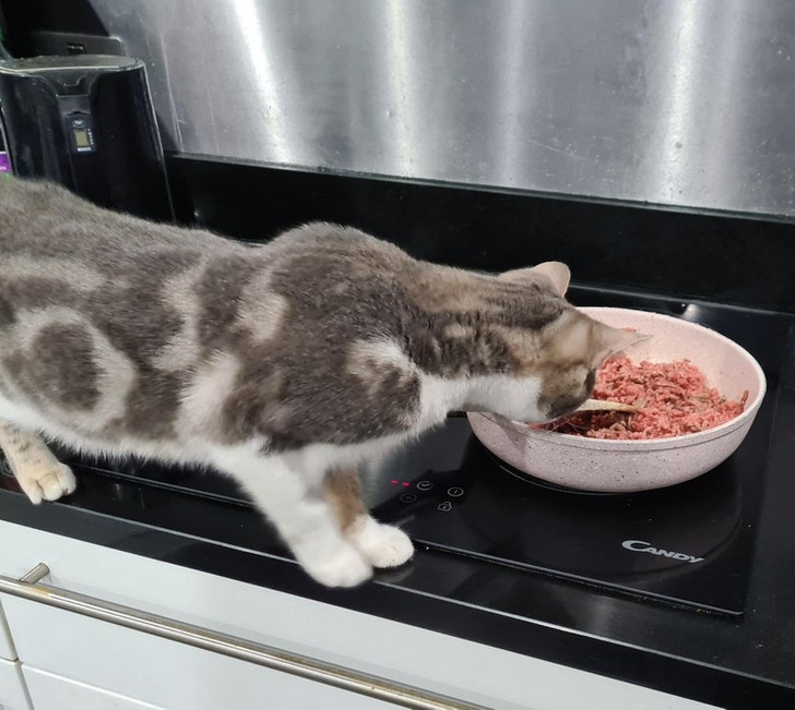 beef285729a293ca2b9a939445 beef285729a293ca2b9a939445