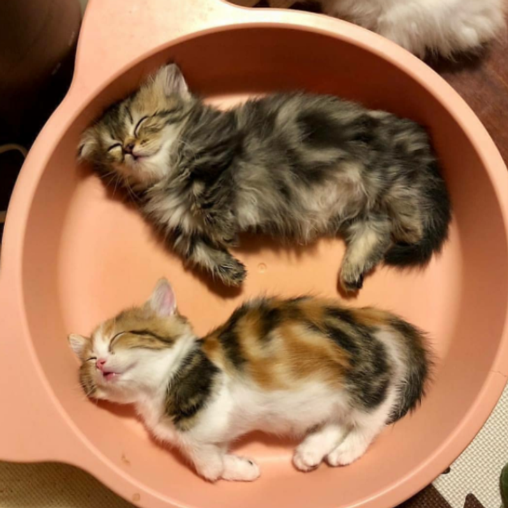 bef1b450c7b44390bfb2d60bc0