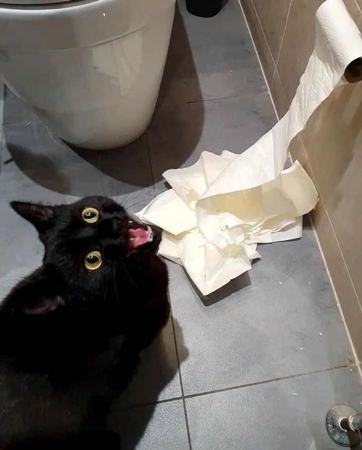 befd015358baa4cc6745c7765a