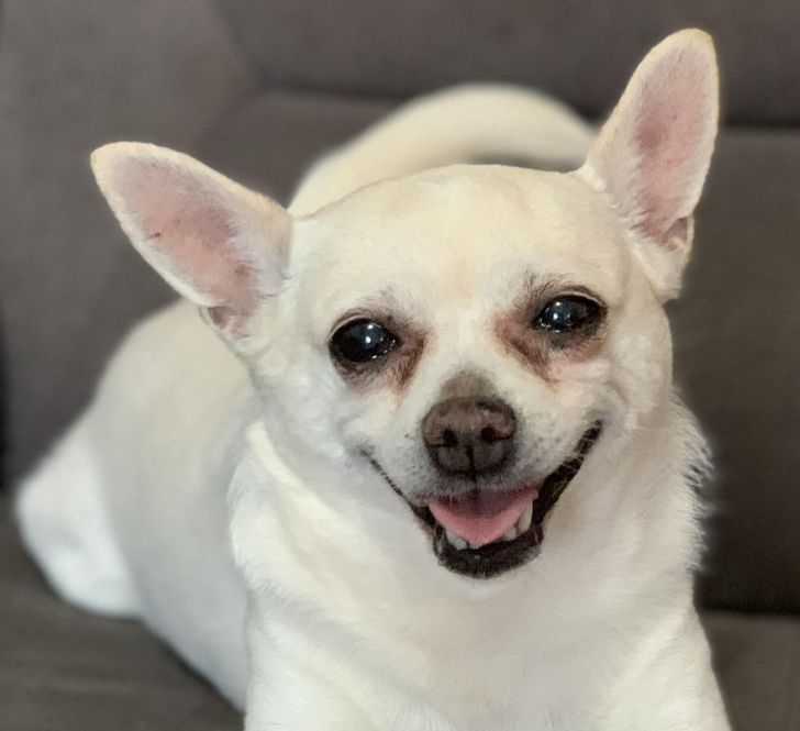 beffb157ffb233d71f8f39d01c