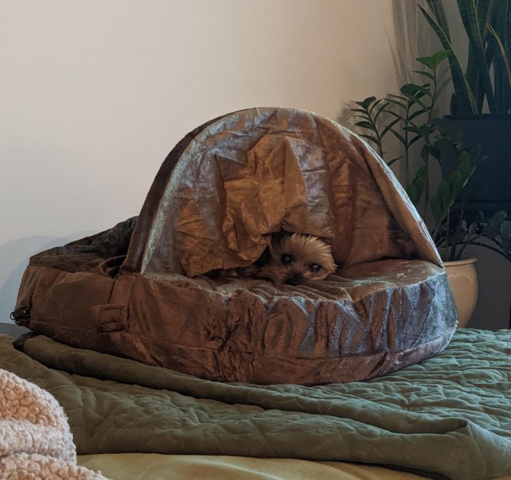 bf071d568786807dfd2e9473e1