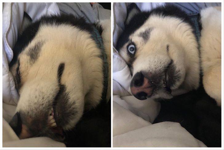 bf14ce5a3ba562ea3badd92092