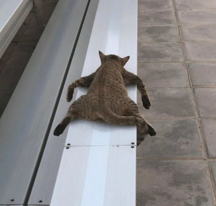 bf15e1558fbfc9bb5e1cb416e5