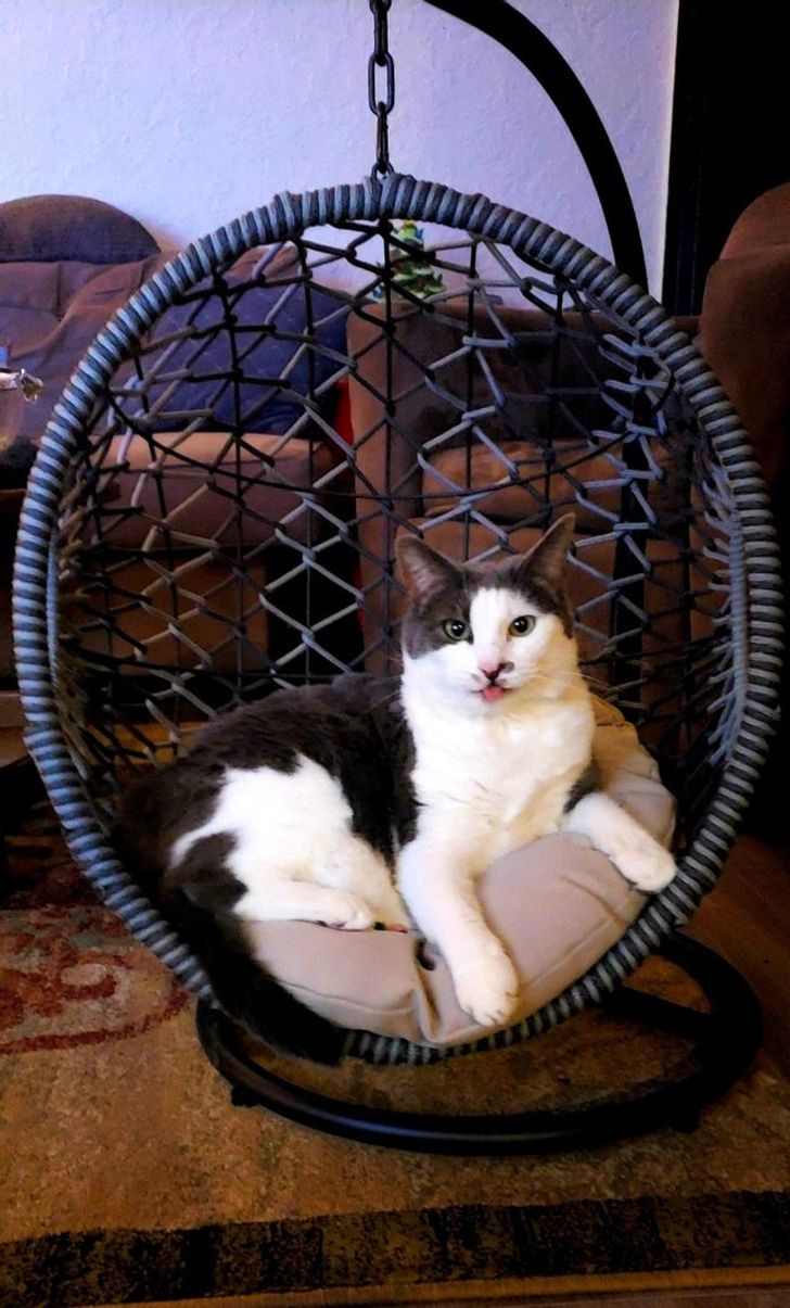 bf169f5f16ac992b8b632ec3bf