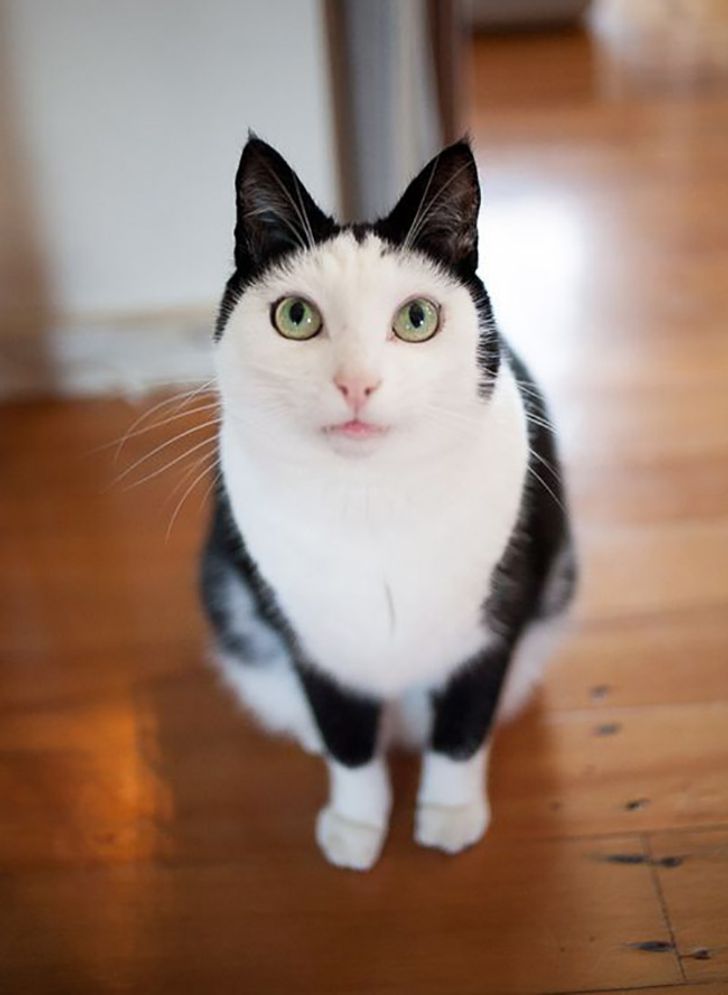 bf1d9c5149bcc311772f8155f1