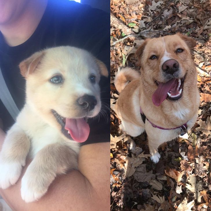 bf277b5998a415dad13720cfb7