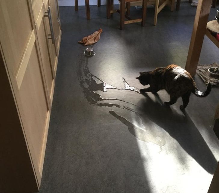 bf2dce5f37b42fc46a1aabe19d