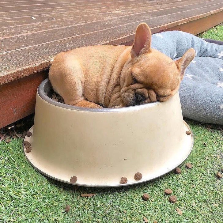 bf2e0a5ce2a66cda4c852ef7ad