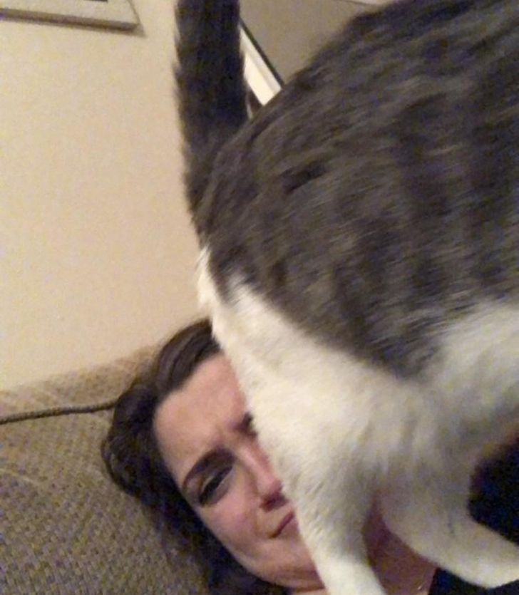 bf2f61524cbce0e9b9d2f544e6