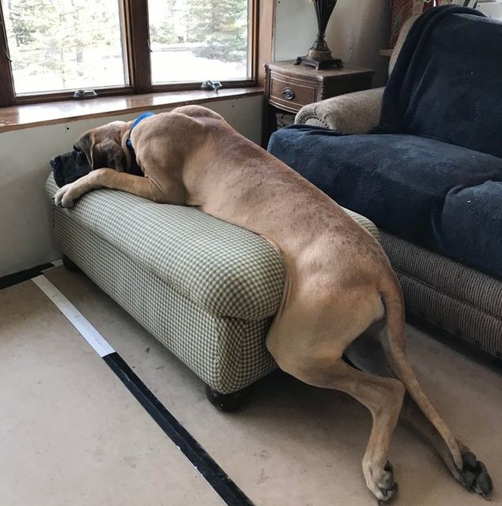 bf34cd53e2b1f7f1473cfdb280